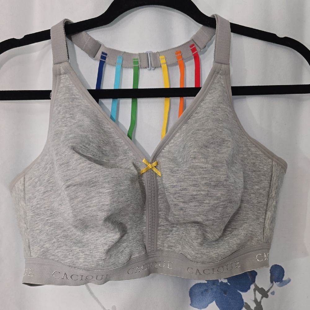 Cacique Light Gray Bra with Rainbow Straps